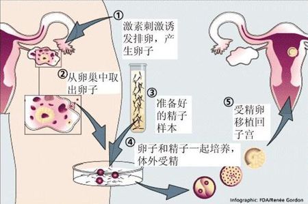 胚胎学家